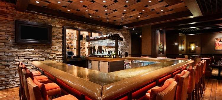 钻石乔沃斯娱乐场酒店(Diamond Jo Worth Casino & Hotel)图片