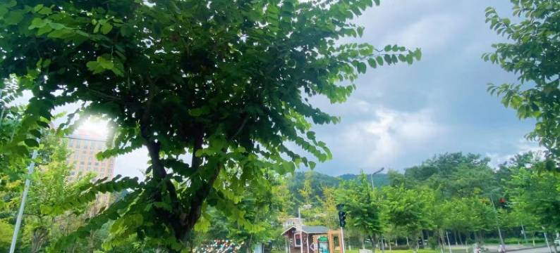 荔波三力酒店(荔波古镇邓恩铭故居店)图片