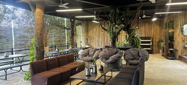 The Ravine by One Selah图片