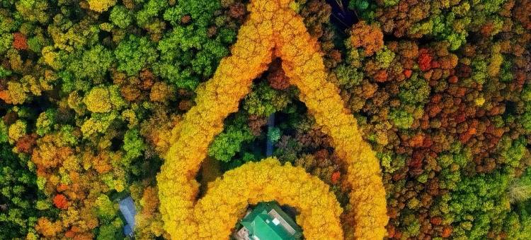 南京•尚客优MOMMYSWOWWINOWWORLDBIG酒店(中山陵麒麟门地铁站店)图片