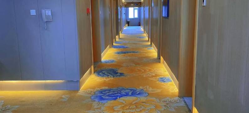 大安飞翔宾馆图片