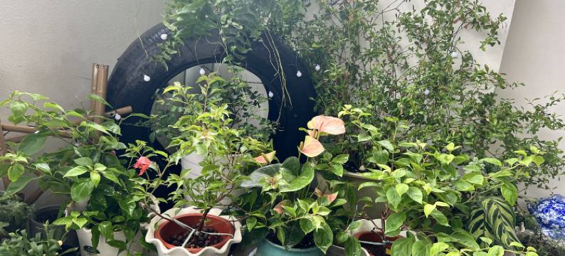 栖涧民宿(涧西万达广场牡丹广场店)图片