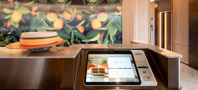 桔子酒店(南京金马路店)图片