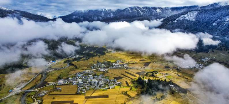 鲁朗福禄·Life度假民宿图片