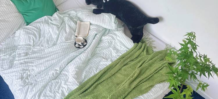 广州如风租房(植物园地铁站龙洞步行街店)图片