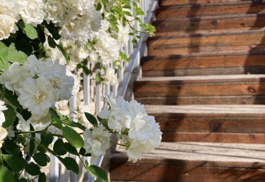 Qiumingju Guesthouse Hotel Overview