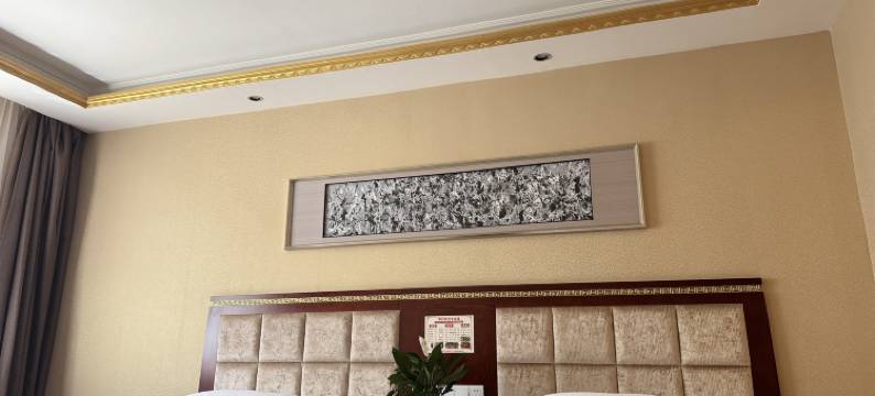 迭部苯日钦牡大酒店图片