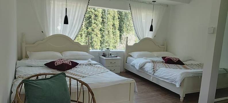 琼库什台盛开民宿图片