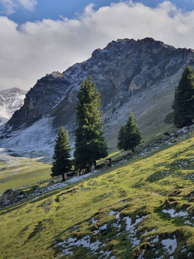 伊曦·小寨丨Natural氧吧民宿(那拉提景区店)图片
