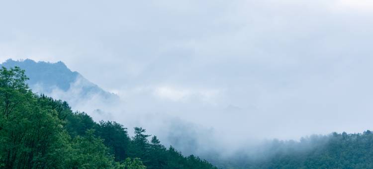 四亩山居·PrivateHotSpring·私汤温泉美宿图片
