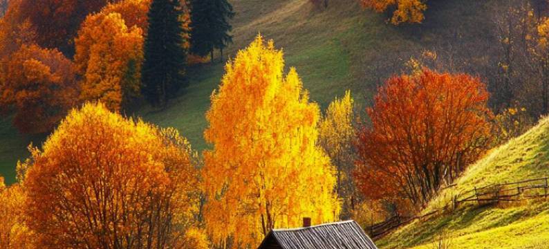 禾木蒲公英客栈(禾木风景区落日草原篝火晚会店)图片