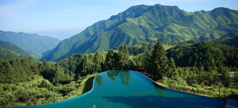 龙泉凤羽隐居芥子园图片