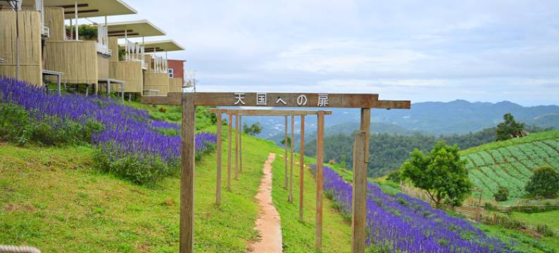 普温蒙占民宿(Phuwin Homestay Monjam)图片