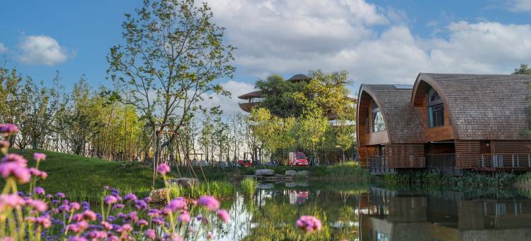 武汉城建开元森泊度假酒店图片