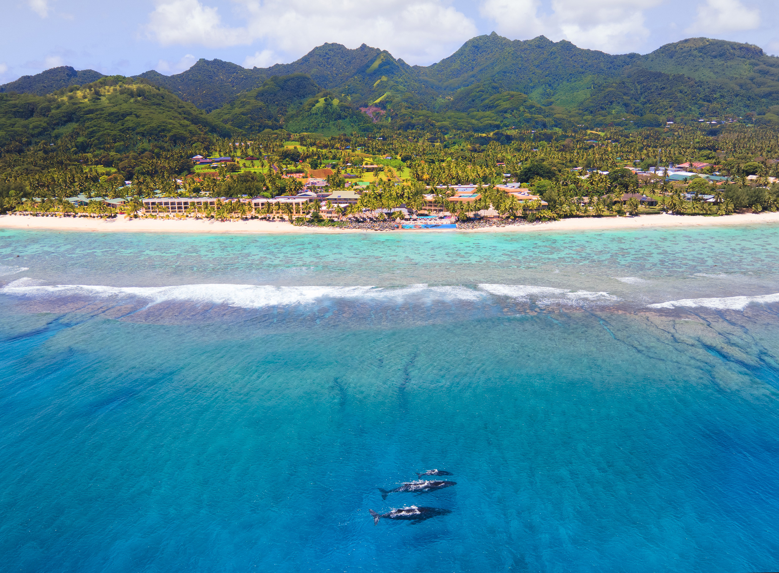 The Edgewater Resort & Spa Over view