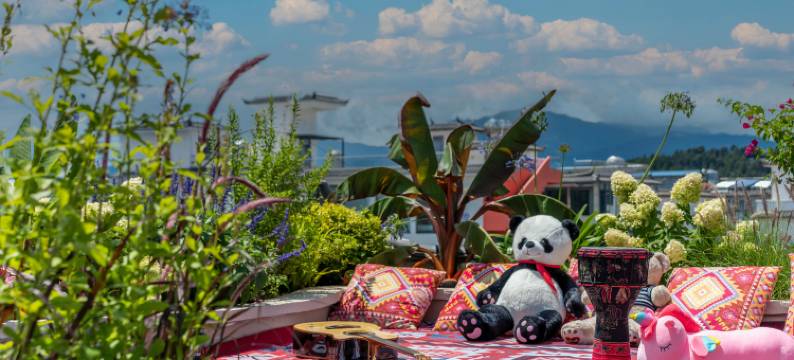 江南设计师日照金山·空中GarDen雪山观景文化美宿(丽江古城店)图片