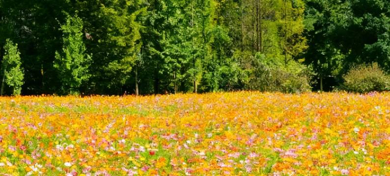 风华酒店(贵阳花溪公园贵州大学花溪南校区店)图片