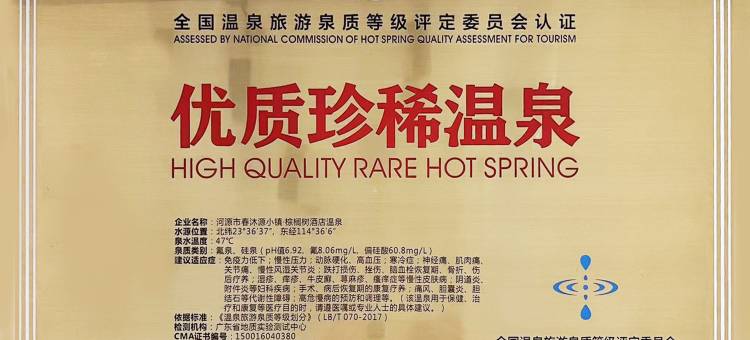 河源春沐源小镇·棕榈树酒店图片