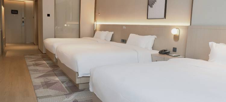 麗枫酒店(景德镇陶溪川北路店)图片