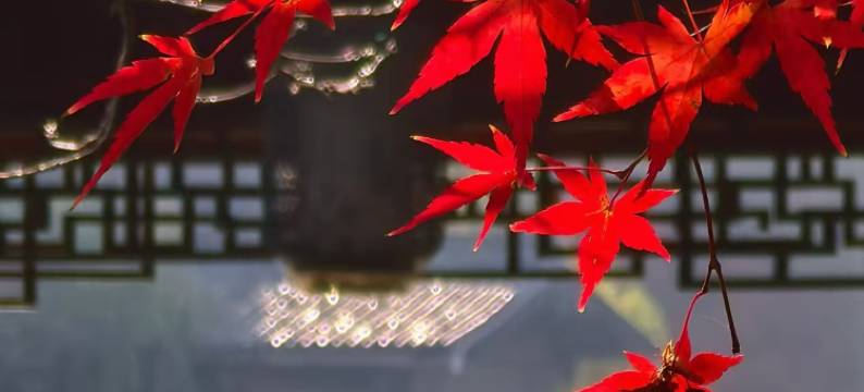 中国院子·梦溪苑·隐居酒店图片