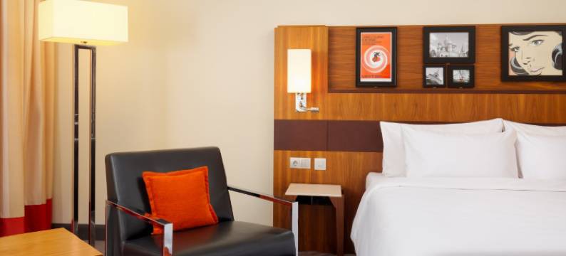 莫斯科谢列梅捷沃机场宇宙精选酒店(Cosmos Selection Moscow Sheremetyevo Airport Hotel, a Member of Radisson Individuals)图片