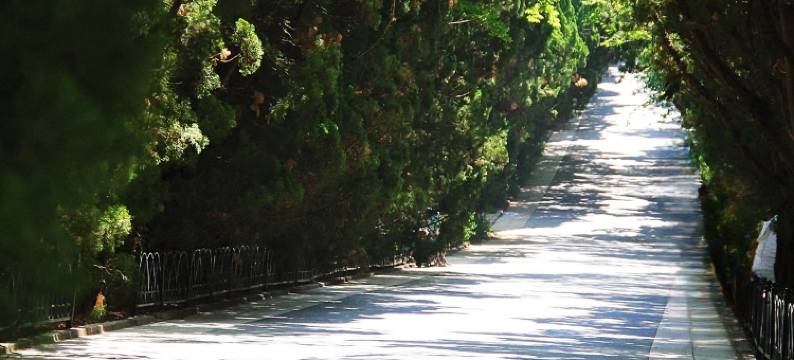 花筑·青岛梦之船海景酒店图片