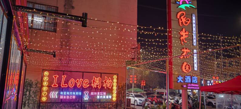 桐柏阳光花园大酒店(淮渎公园店)图片