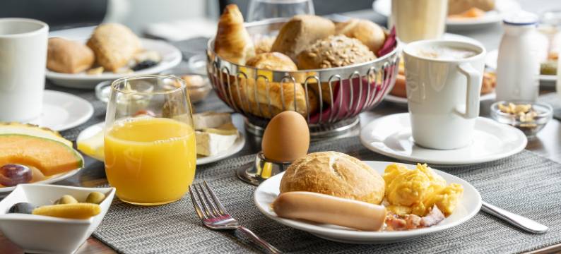 格拉茨城市广场酒店(PLAZA INN Graz City)图片