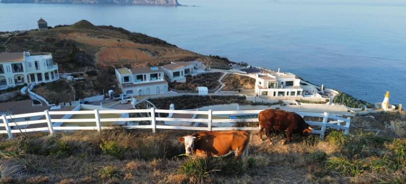 福鼎NOMI安曼岛海景民宿图片