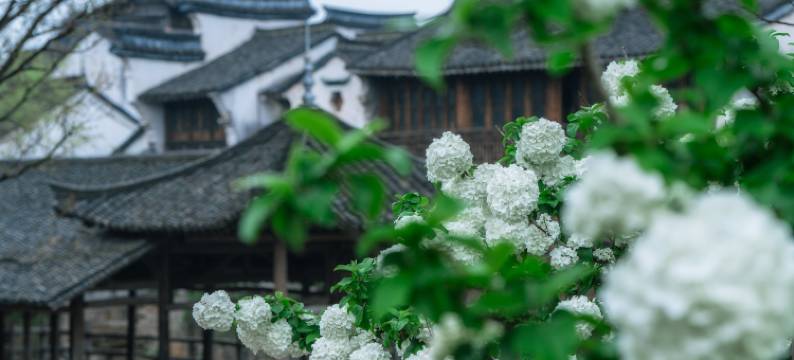 濮院时尚古镇费家桥客栈图片