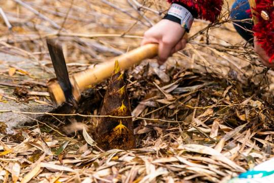 茅山森林世界度假村小熊猫庄园酒店图片
