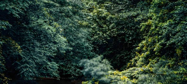 Shimmer·禾竹美宿(习水县政府店)图片