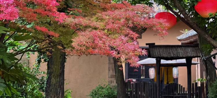 方若·花朝艺术村落民宿图片