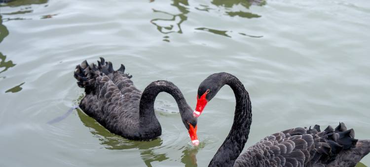 厦门五缘湾凯悦酒店图片