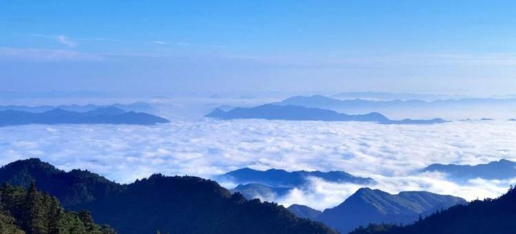 九宫山天宫酒楼(云中湖店)图片