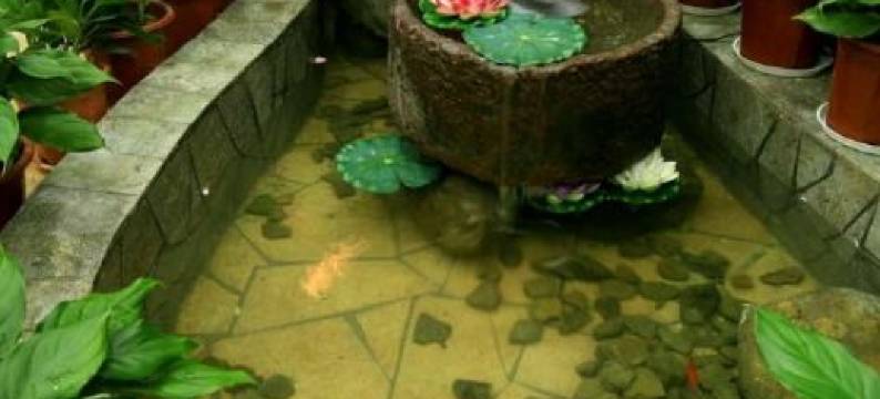 长悦人特色民宿(武陵源汽车站店)图片