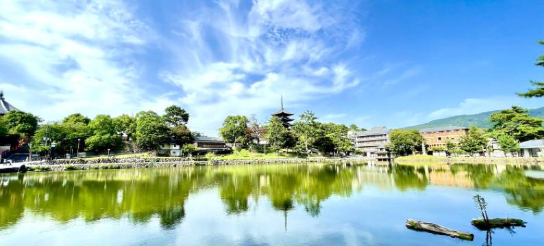 THE KAKU(THE KAKU)图片