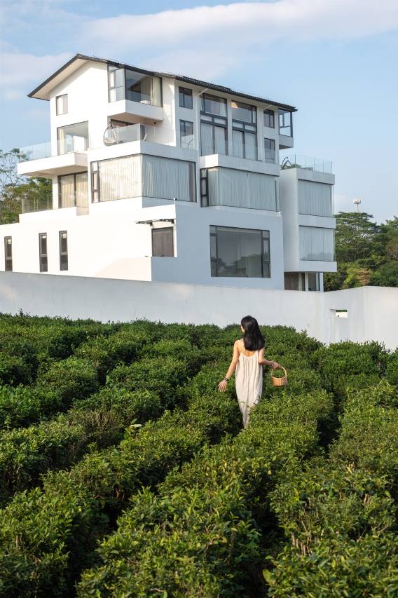 逸山海·慢享榄园茶疗私汤度假民宿图片