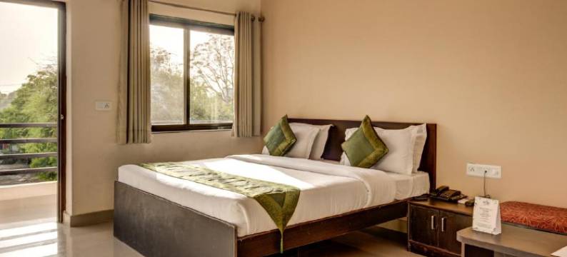 乌代布尔经典公园酒店(The Park Classic Udaipur)图片