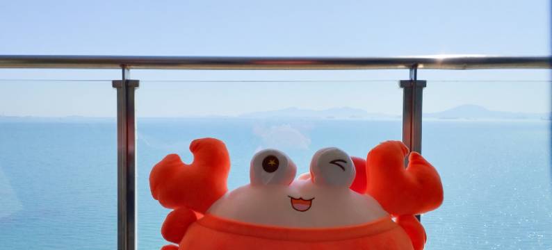 惠东碧桂园十里银滩东玥皇宫海景公寓图片