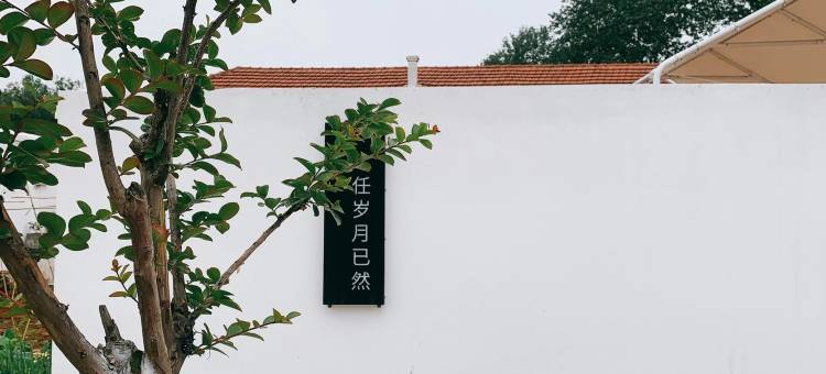 烟台童院里民宿图片