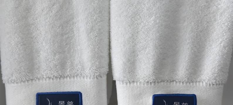 察右中旗景普岳庭酒店图片