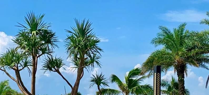 派斯特公寓(海陵岛北洛湾店)图片