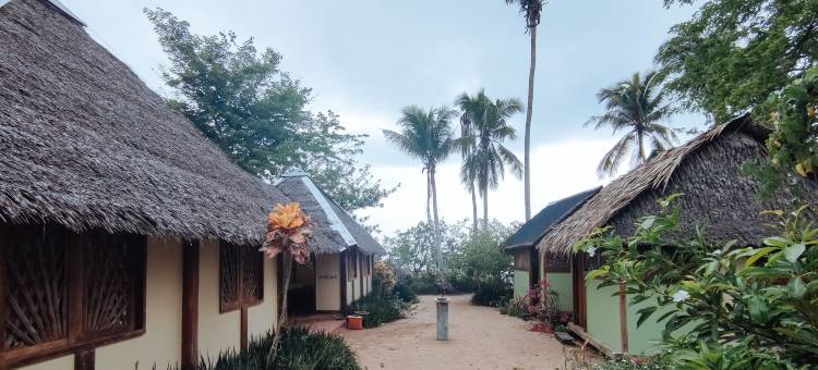 克拉拉海滩宾馆(The Clara Beach and Guest House)图片