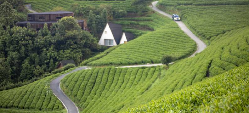 黎平龙形冲TEATEL茶主题民宿图片