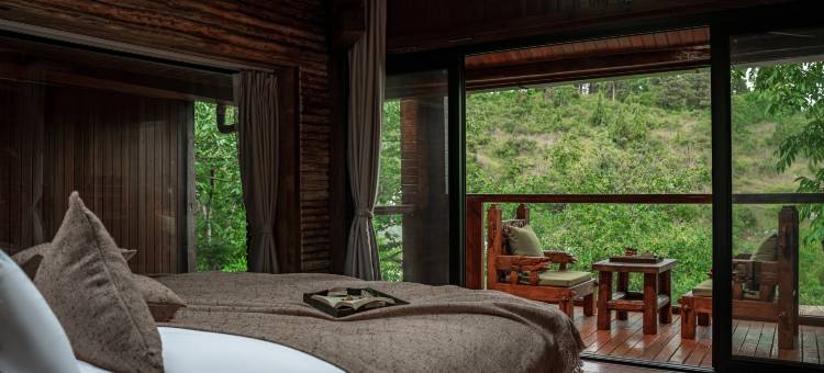 青丘· Tree House 森林氧吧度假民宿图片