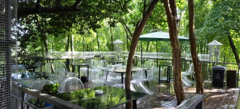 莫干山隐竹莫干民宿图片