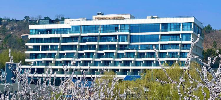 蒙山养心度假酒店图片