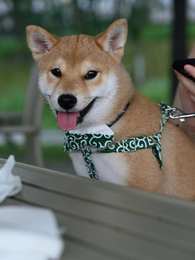 花筑·婺源徽遇阁民宿(县中心弦高古城店)图片