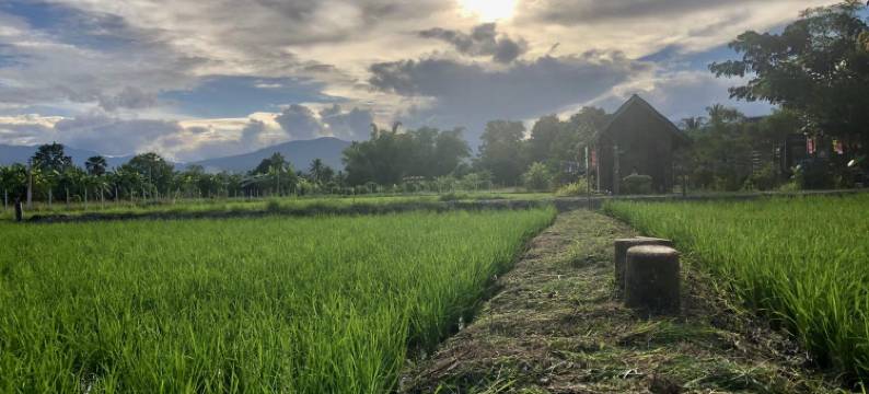 胡安坤考(hueankwankhao)图片